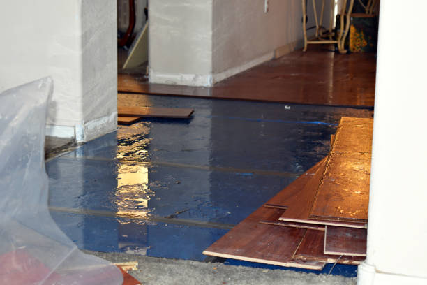 Professional Water Damage Restoration technician working in Proctor, WV